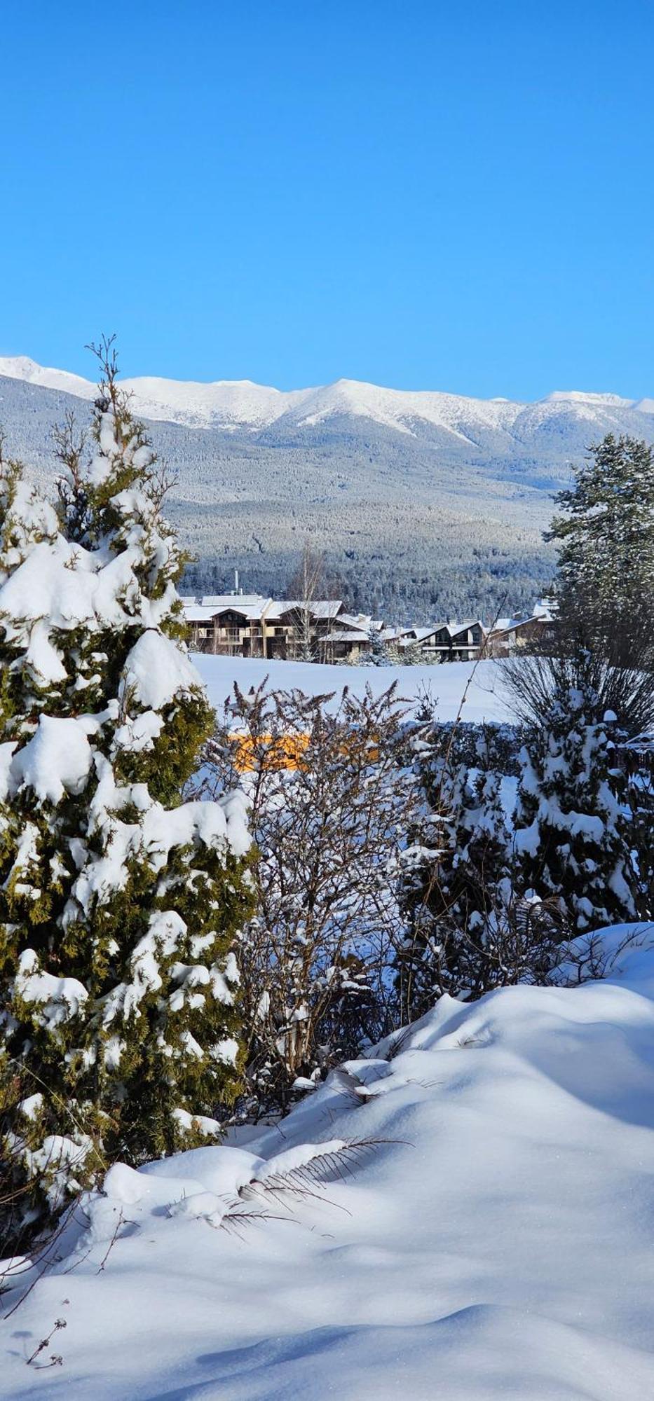 Green Peaks Suite In Pirin Golf & County Club Razlog Værelse billede