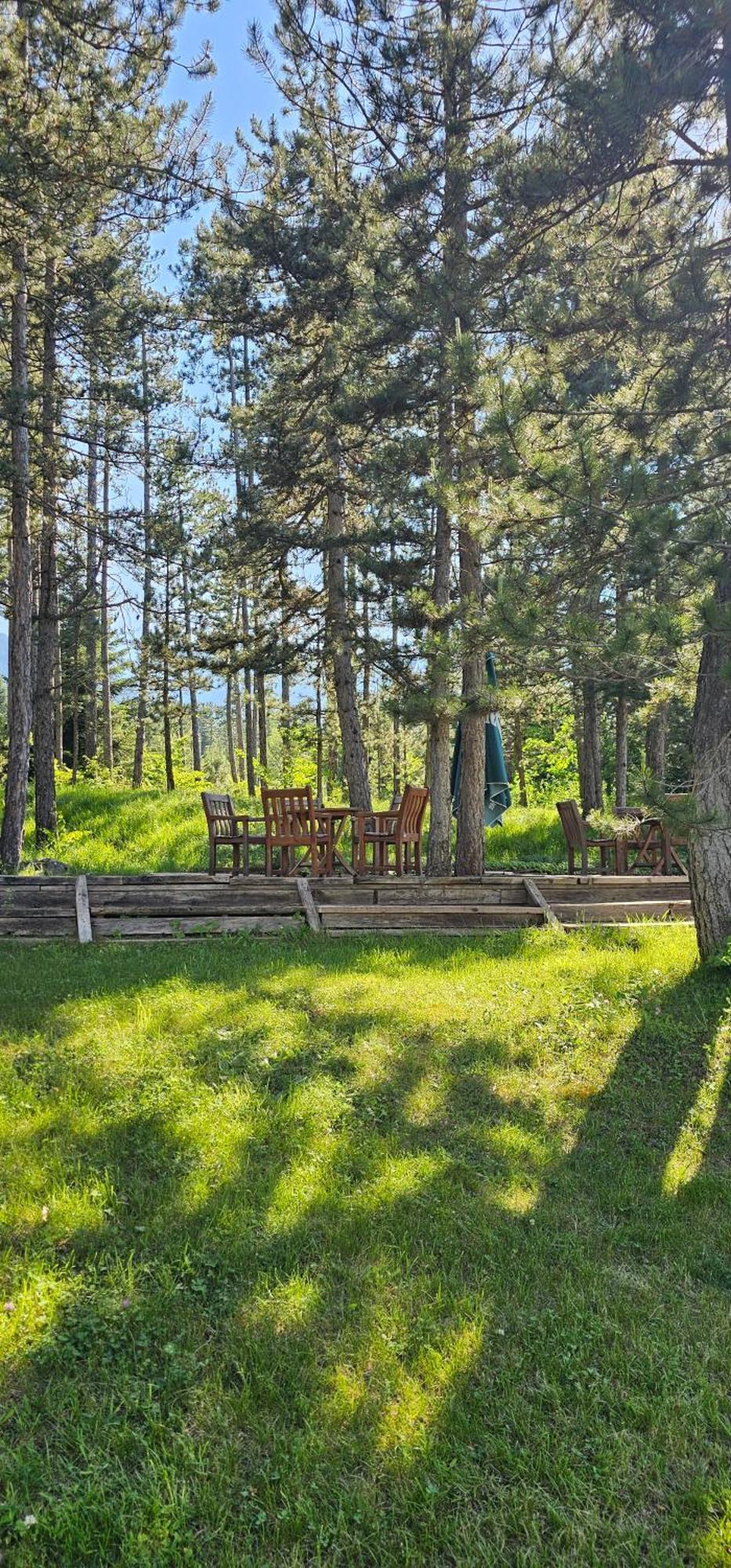 Green Peaks Suite In Pirin Golf & County Club Razlog Værelse billede