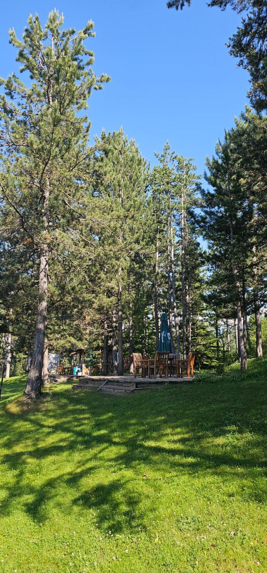 Green Peaks Suite In Pirin Golf & County Club Razlog Værelse billede